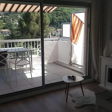 Exceptionnel F2 Vue Montagne Trois Etoiles Gites De France * Amelie-les-Bains-Palalda